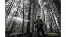 Department of Natural Resources and Renewables firefighter Kalen MacMullin of Sydney at work in Shelburne County last June 1. (Communications Nova Scotia / File) 