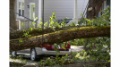 Tree branch fallen over electrical wire on the road