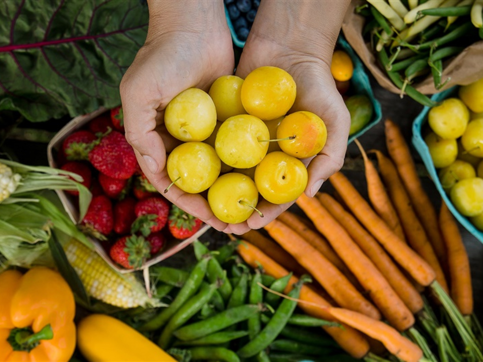 Photo of fruits and vegetables