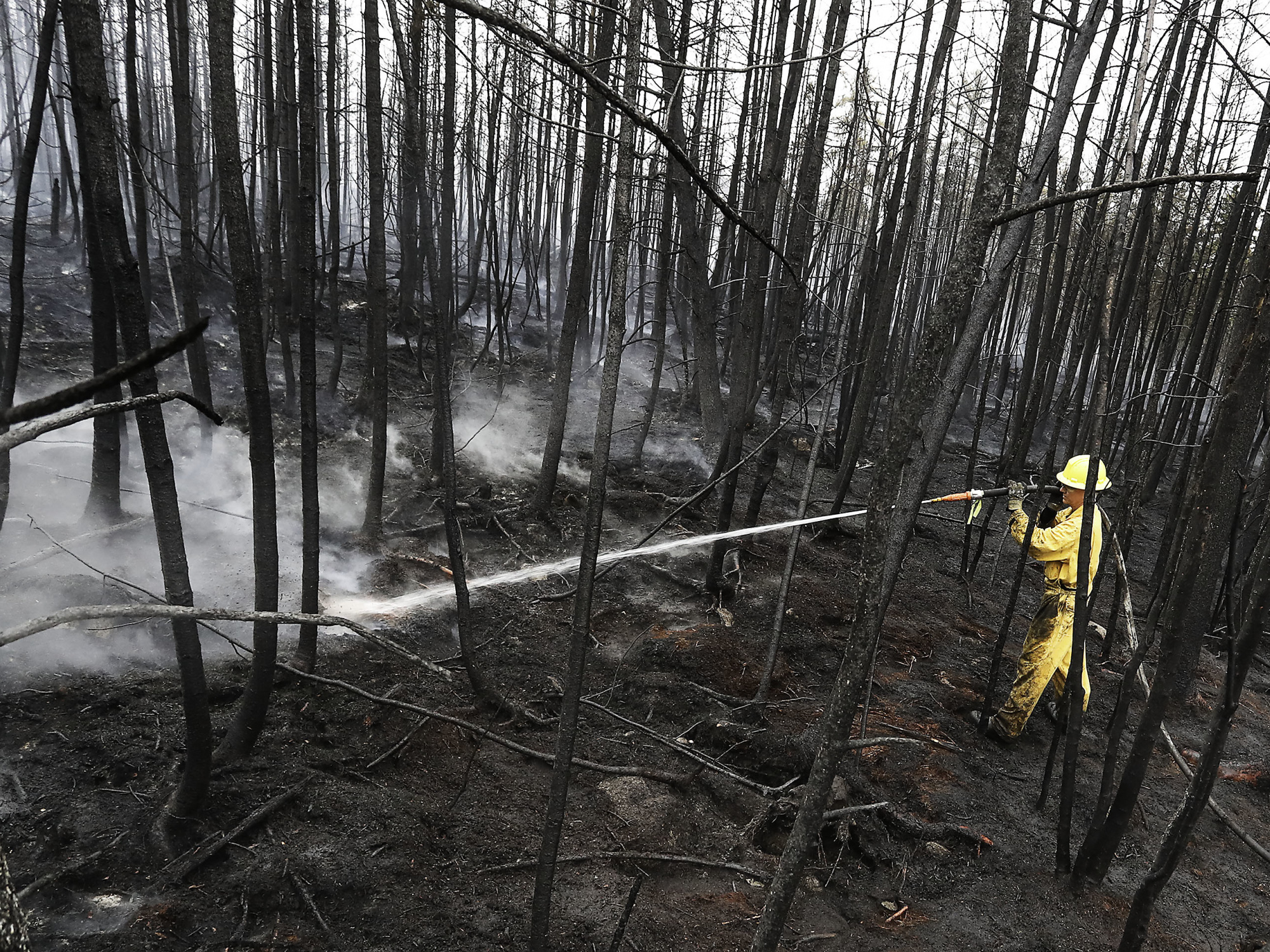 Photo of firefighter spraying water in burned woods