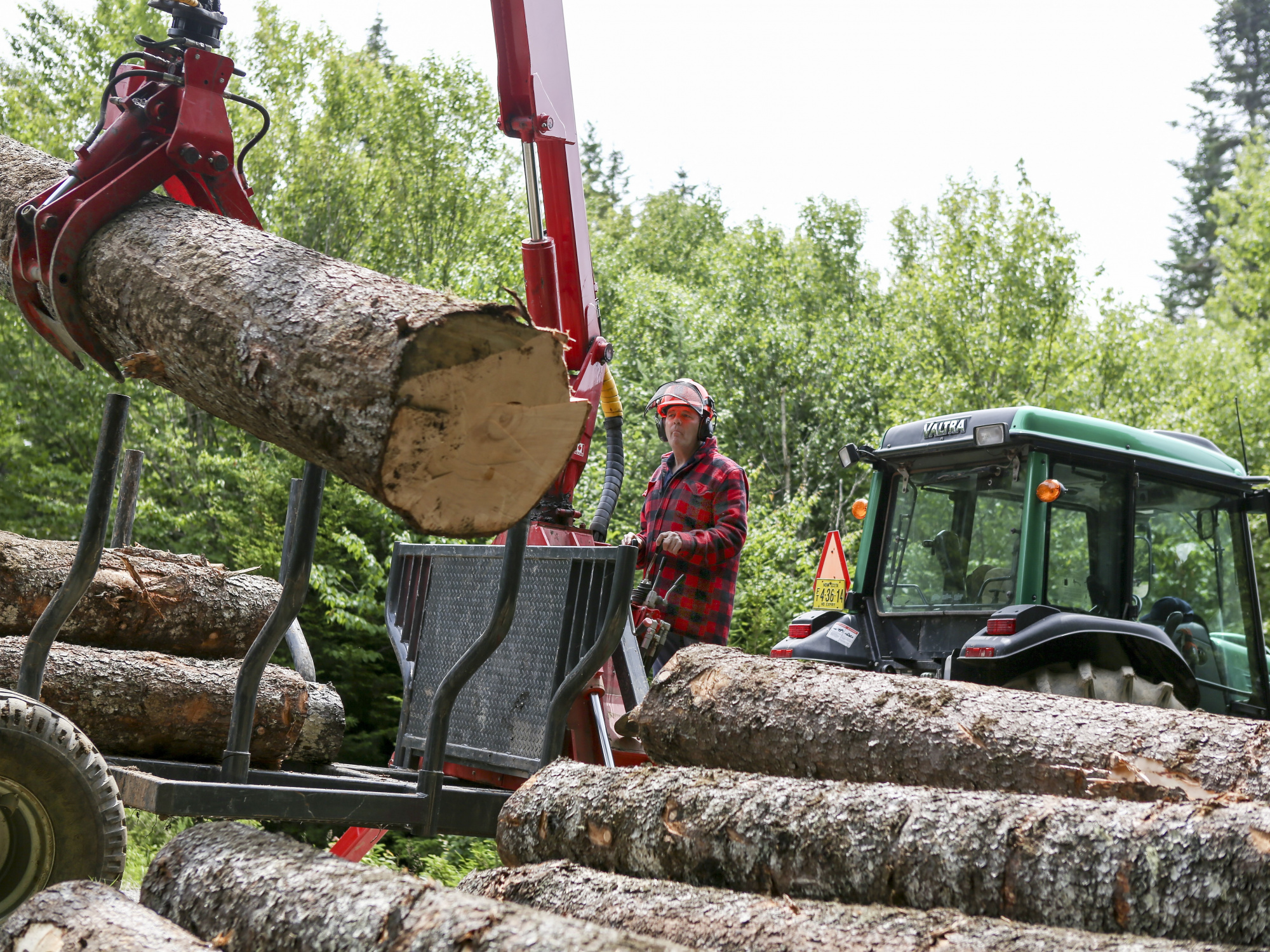 Photo of a forestry worker using a machine to load logs