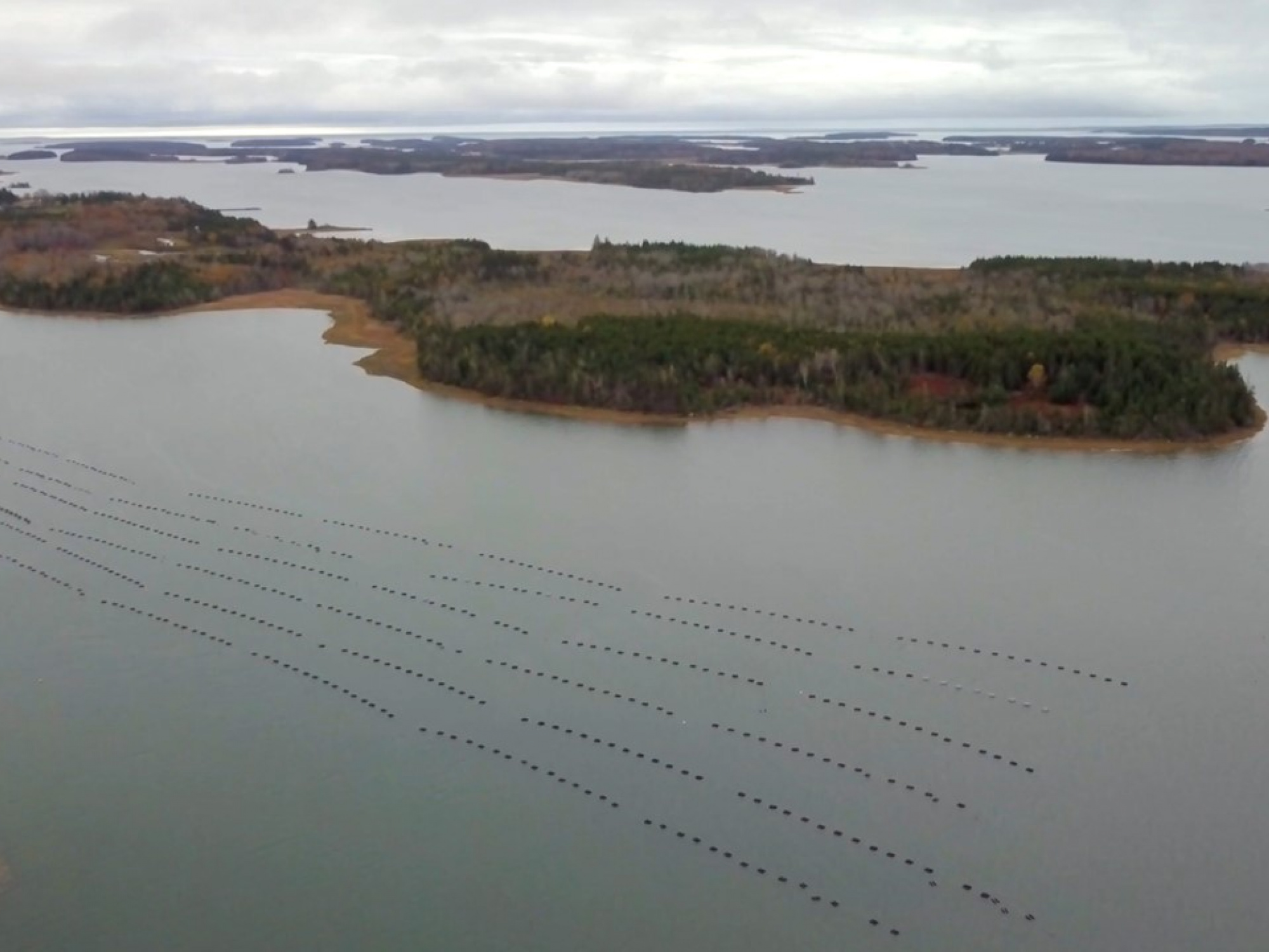 An aquaculture site in the Municipality of the District of Argyle (Centre for Marine Applied Research / Perennia)