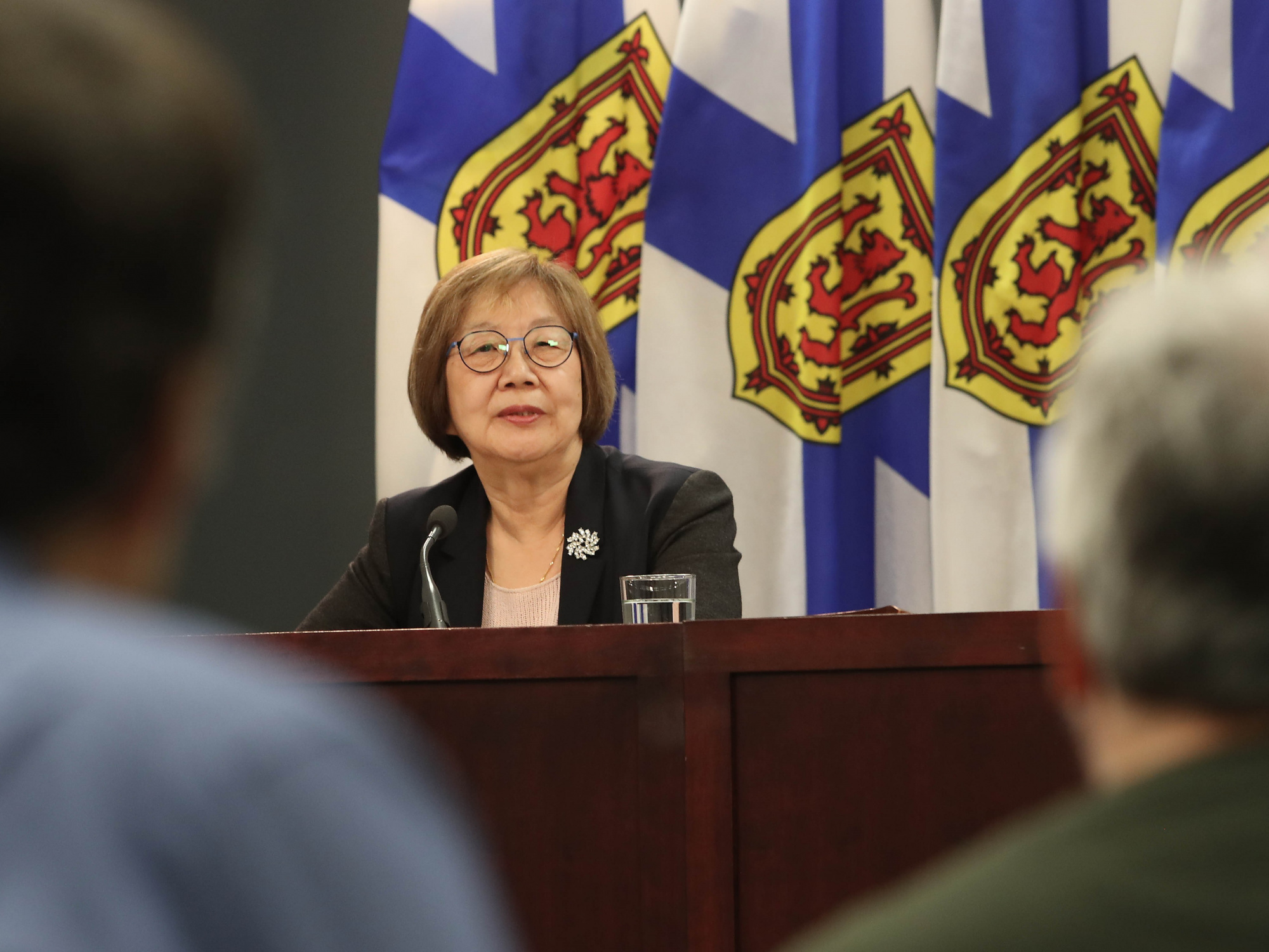 Linda Lee Oland, Founding Chair of the Progress Monitoring Committee, during a media availability in Halifax