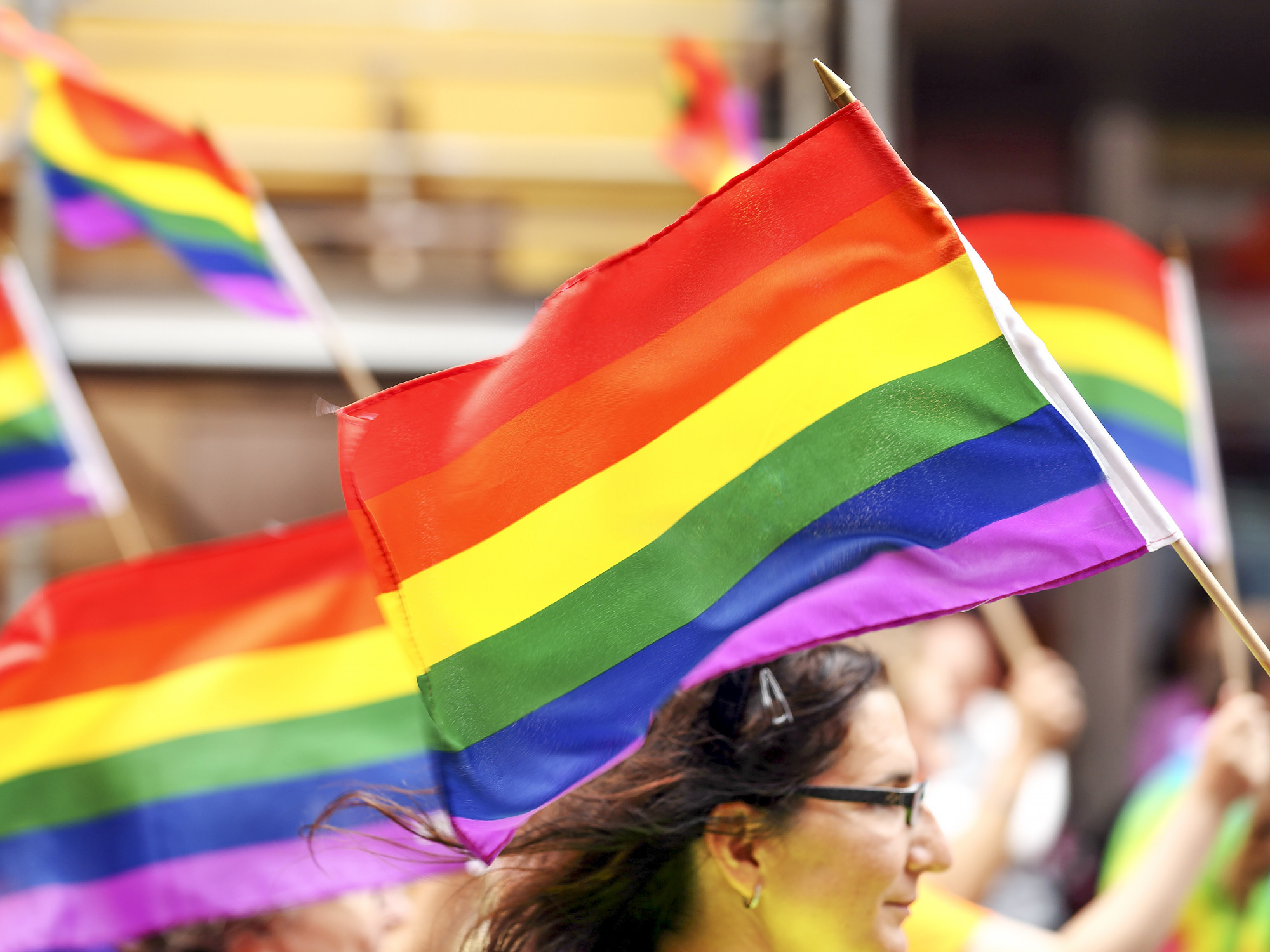 Photo of rainbow flags