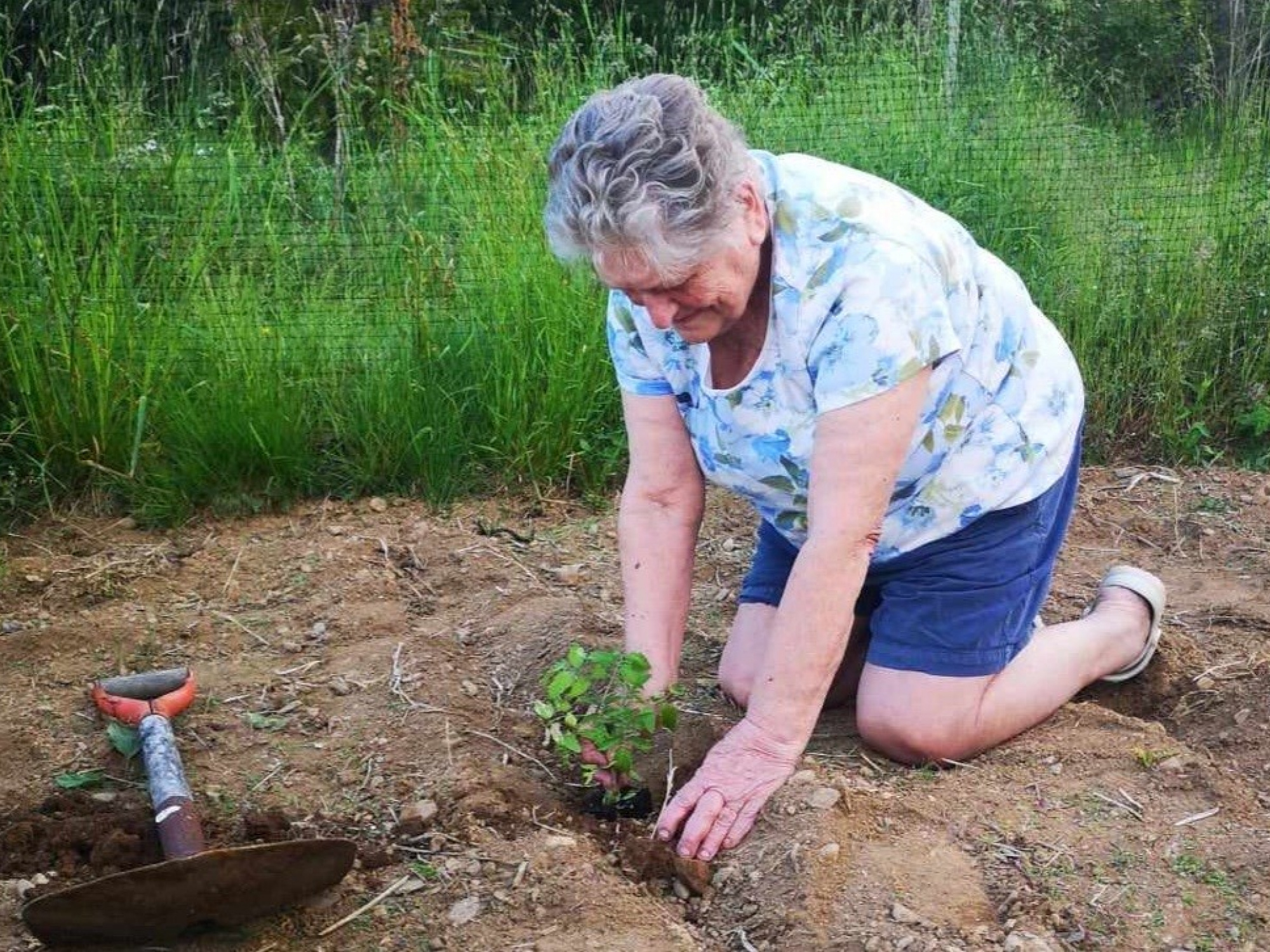 Photo of a senior planting in a garden