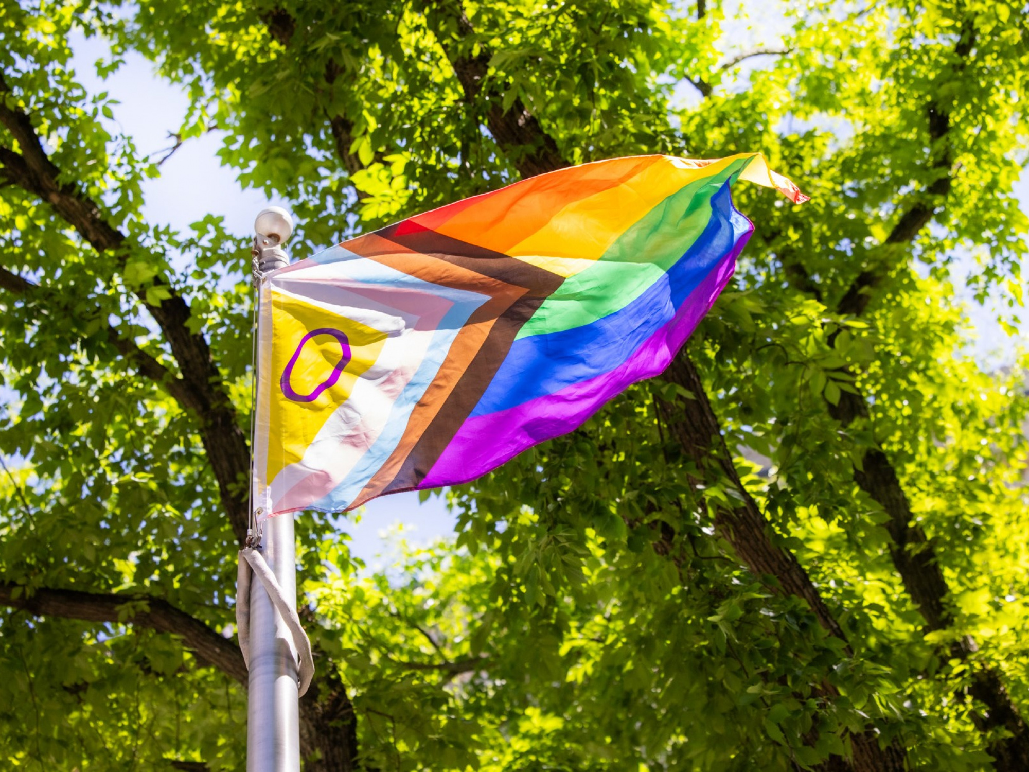 Photo of the Progress Pride flag