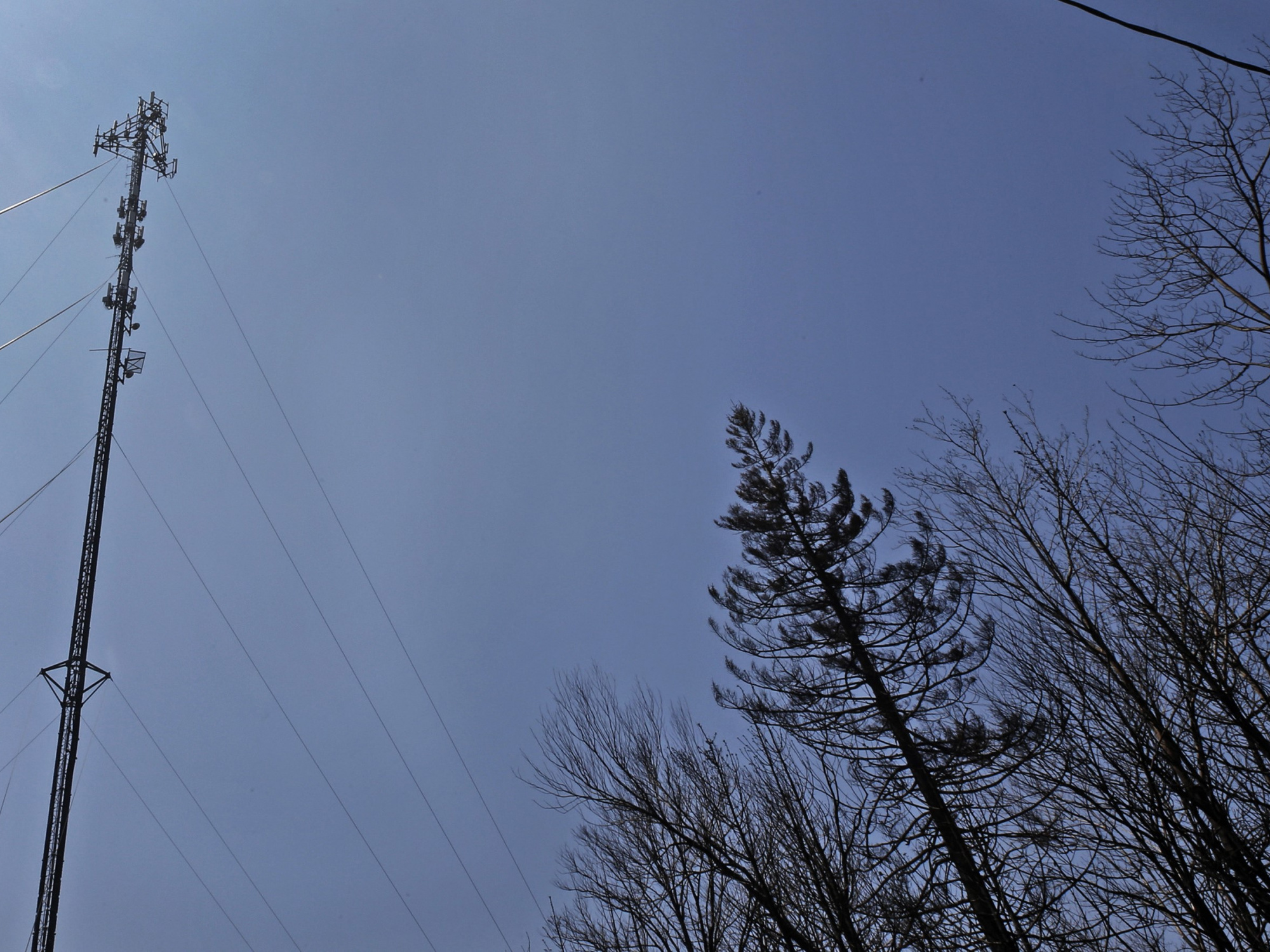 Photo of a cell tower