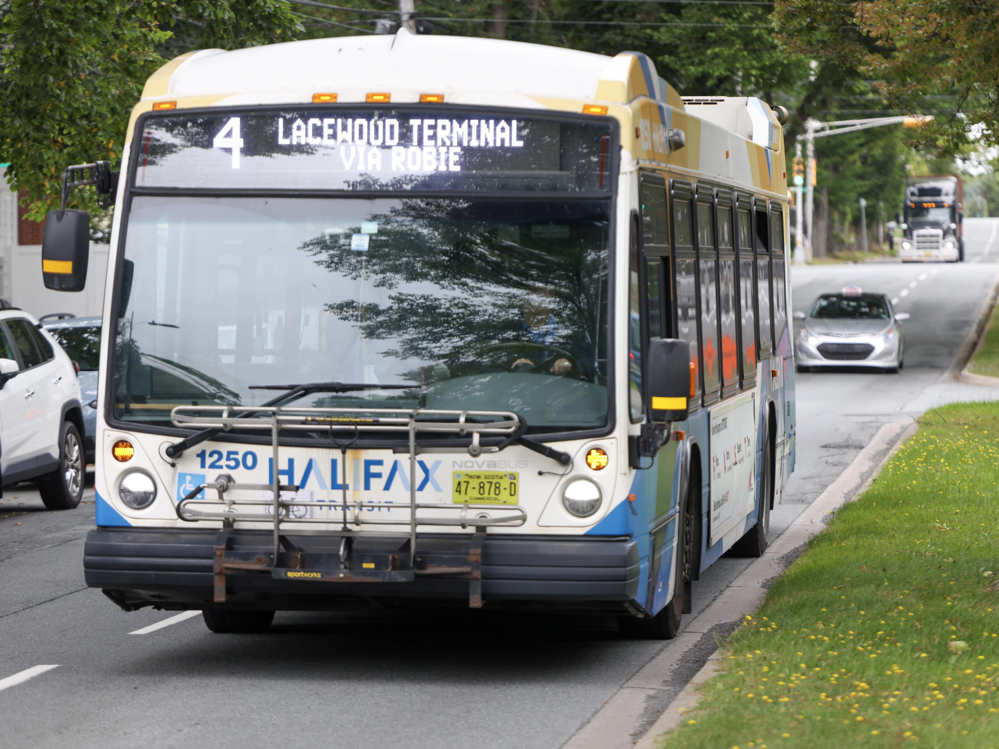 Photo of a Halifax Transit bus