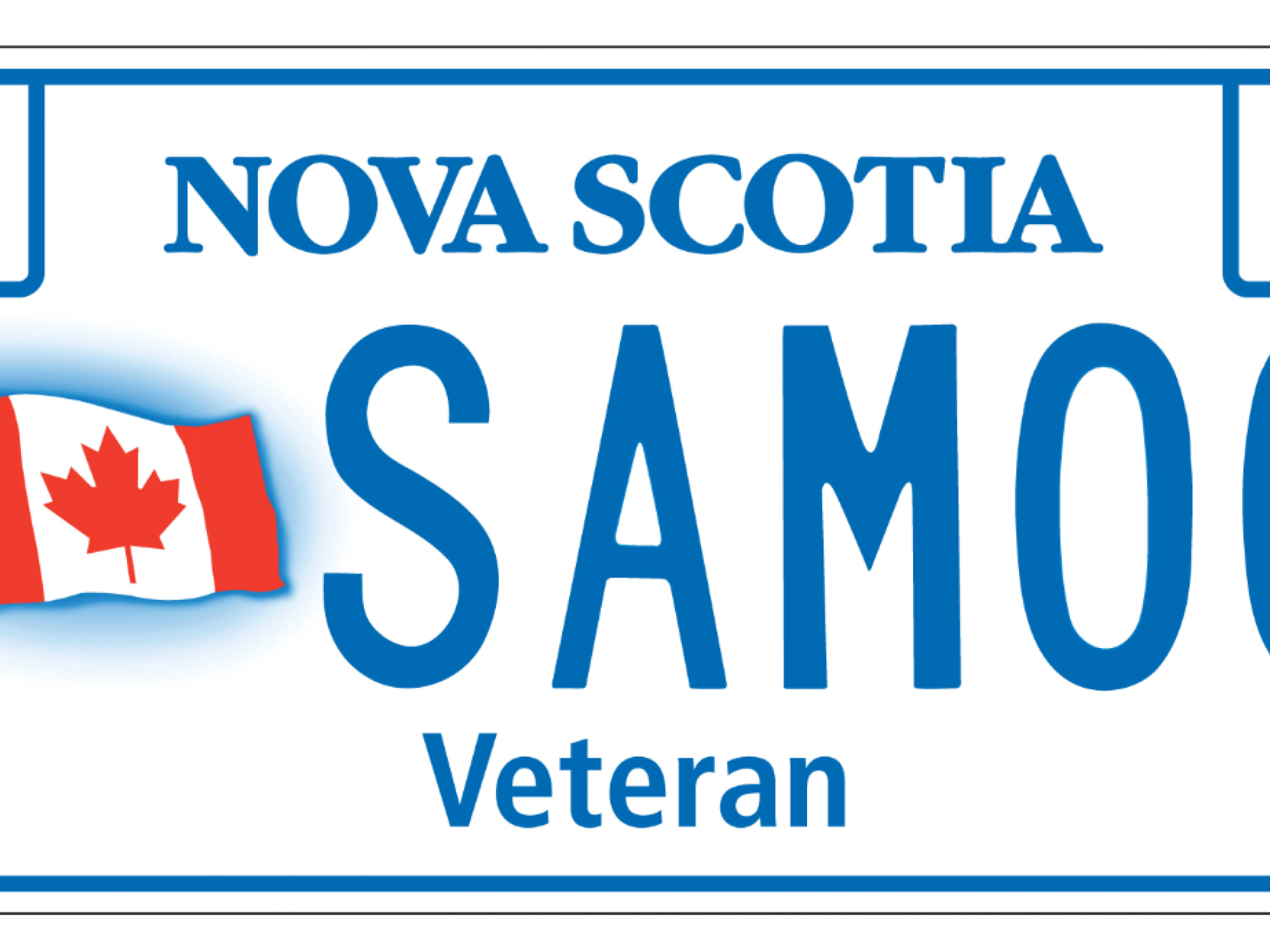 Screenshot of a sample veteran’s licence plate 