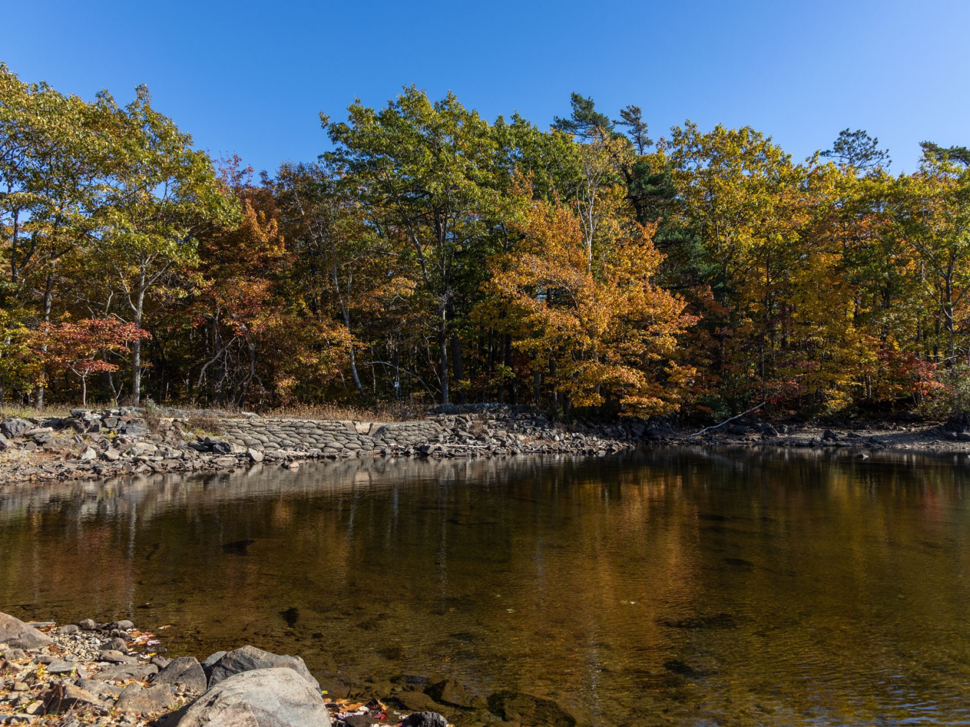 Williams Lake Dam