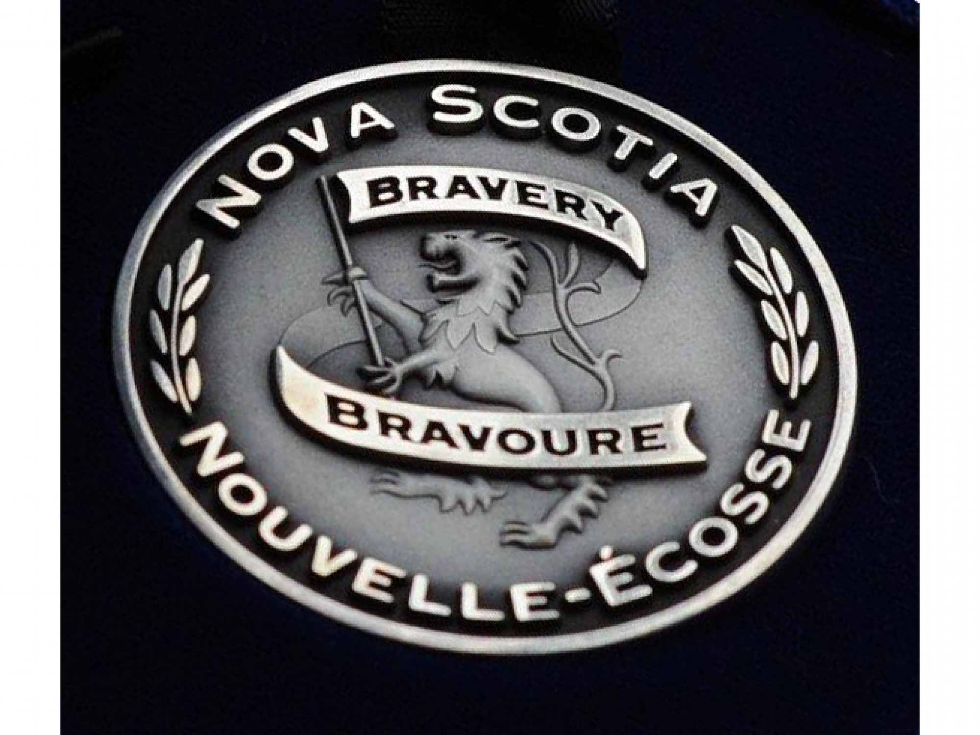 NS Medal of Bravery