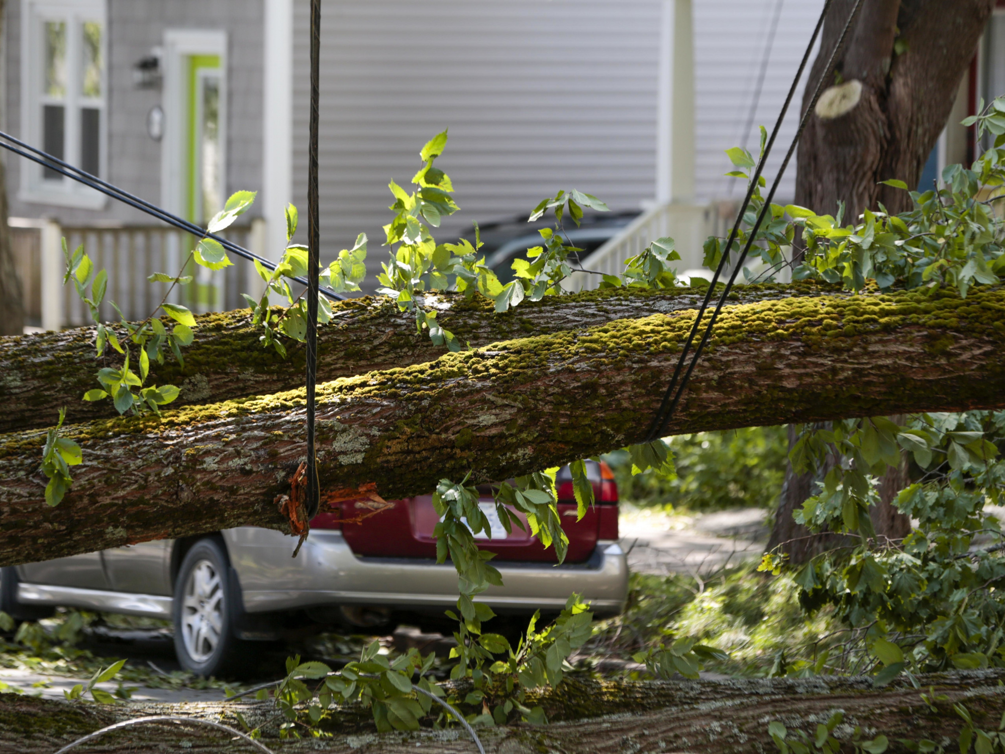 Tree branch fallen over electrical wire on the road