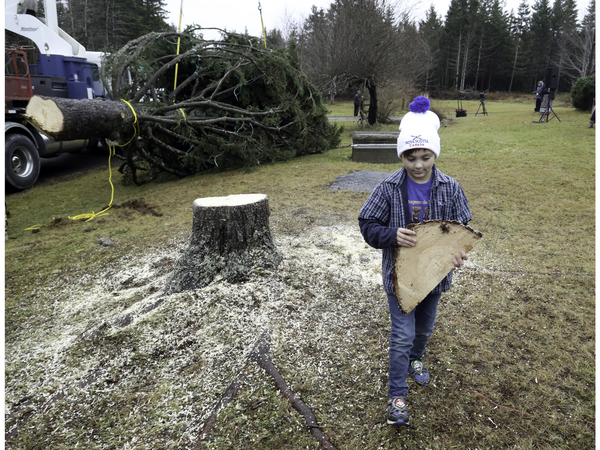 Photo of a boy walking with a wedge from a tree