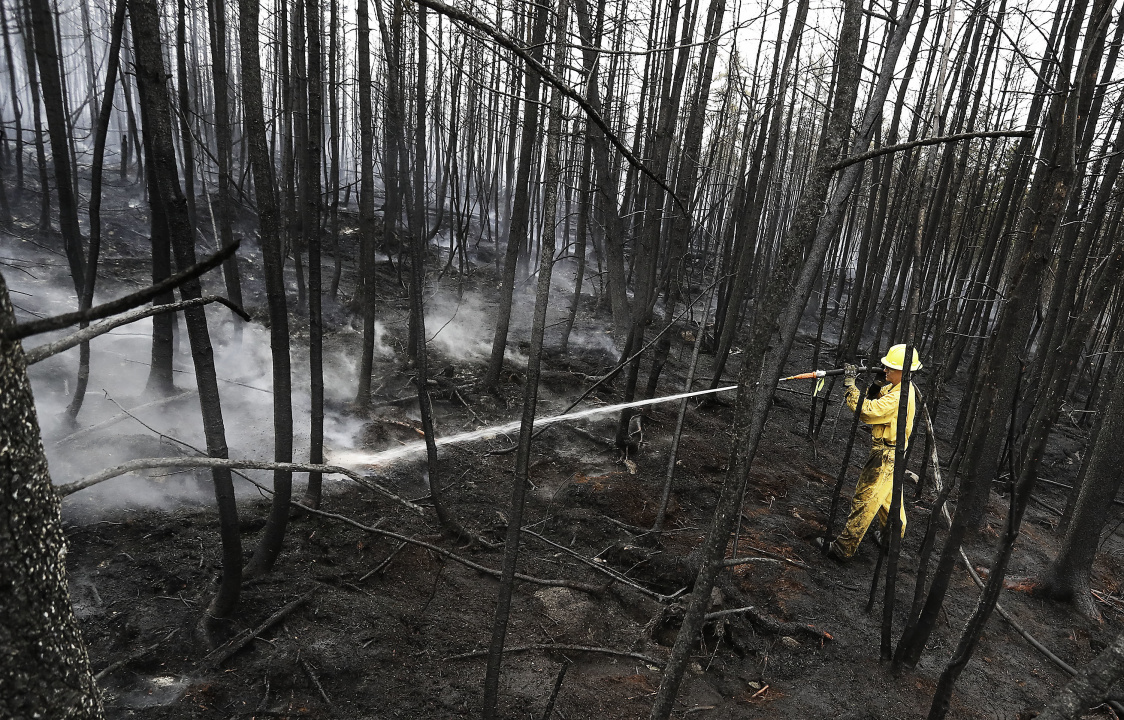 Photo of firefighter spraying water in burned woods