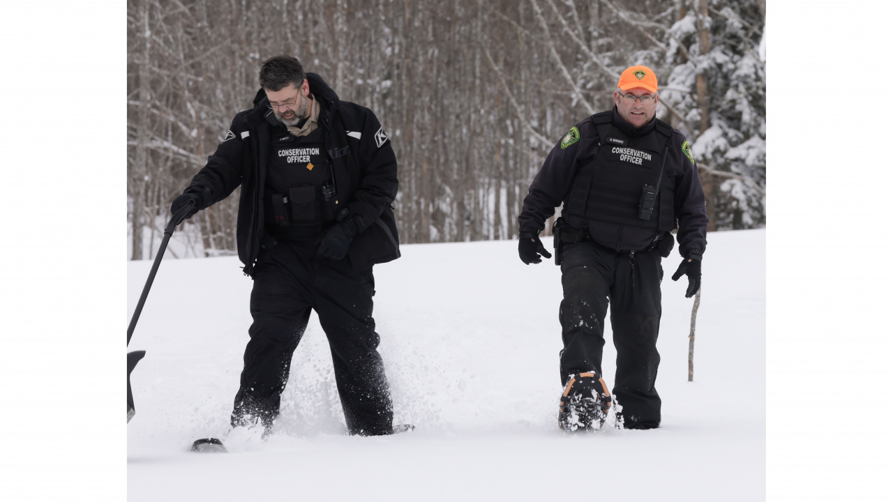 Photo of conservation officers on snowshoes walking 