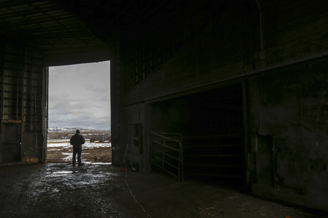 A farmer looks out at his fields