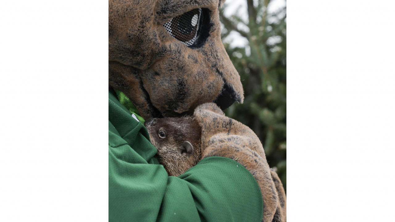 Photo of groundhog mascot holding a groundhog
