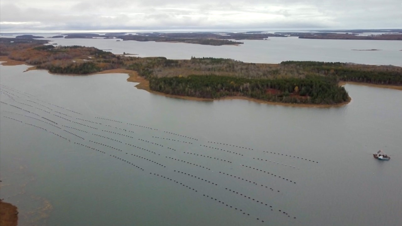 An aquaculture site in the Municipality of the District of Argyle (Centre for Marine Applied Research / Perennia)