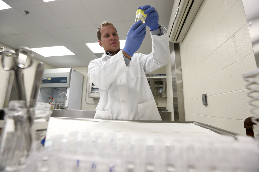 A laboratory at Dalhousie University’s agricultural campus in Truro is pictured