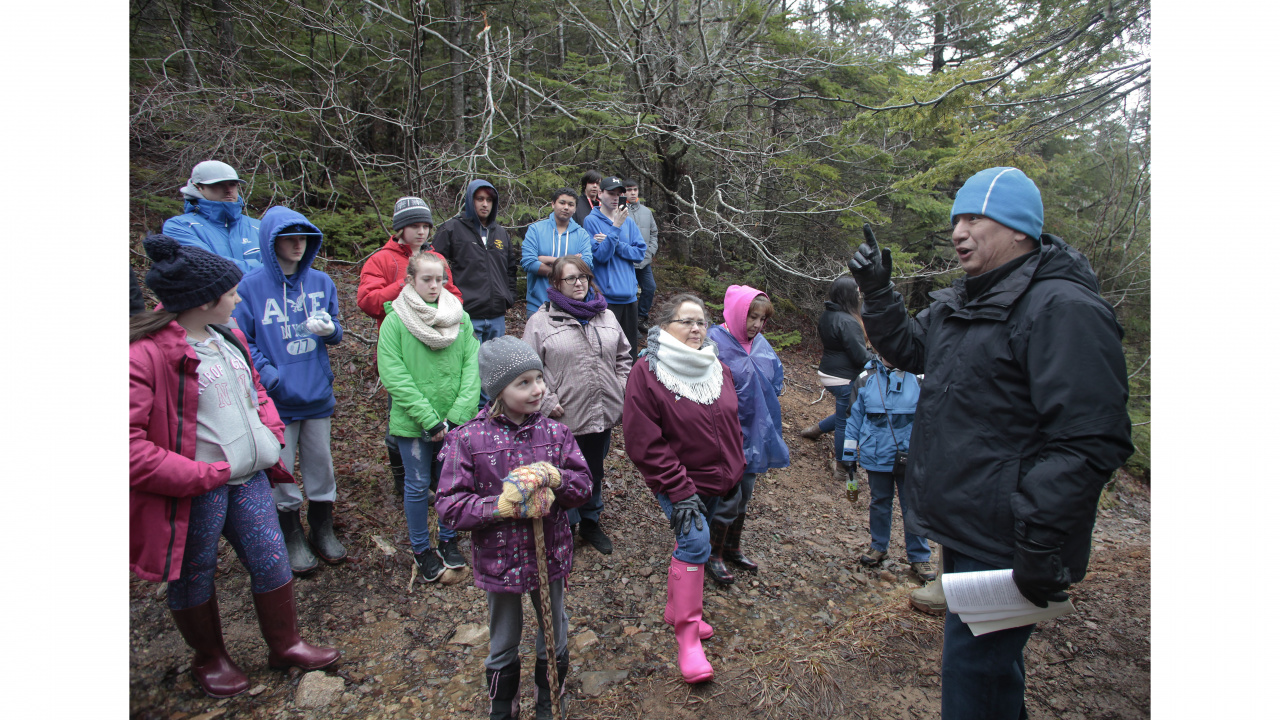Photo of students listening to guide in the woods