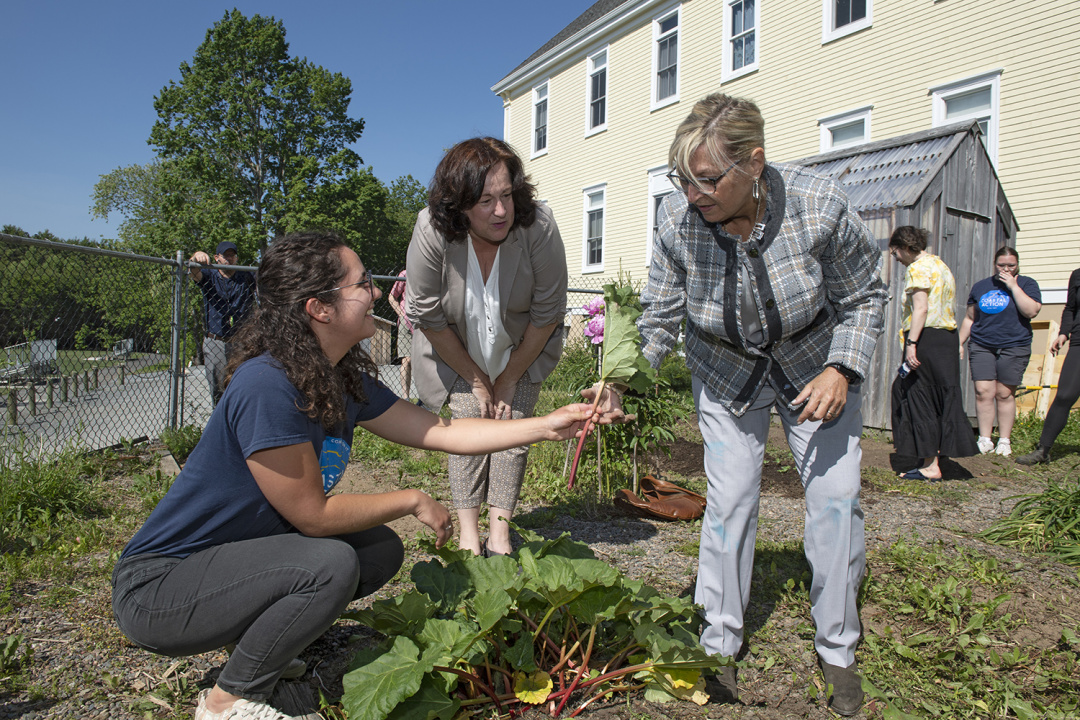 community garden