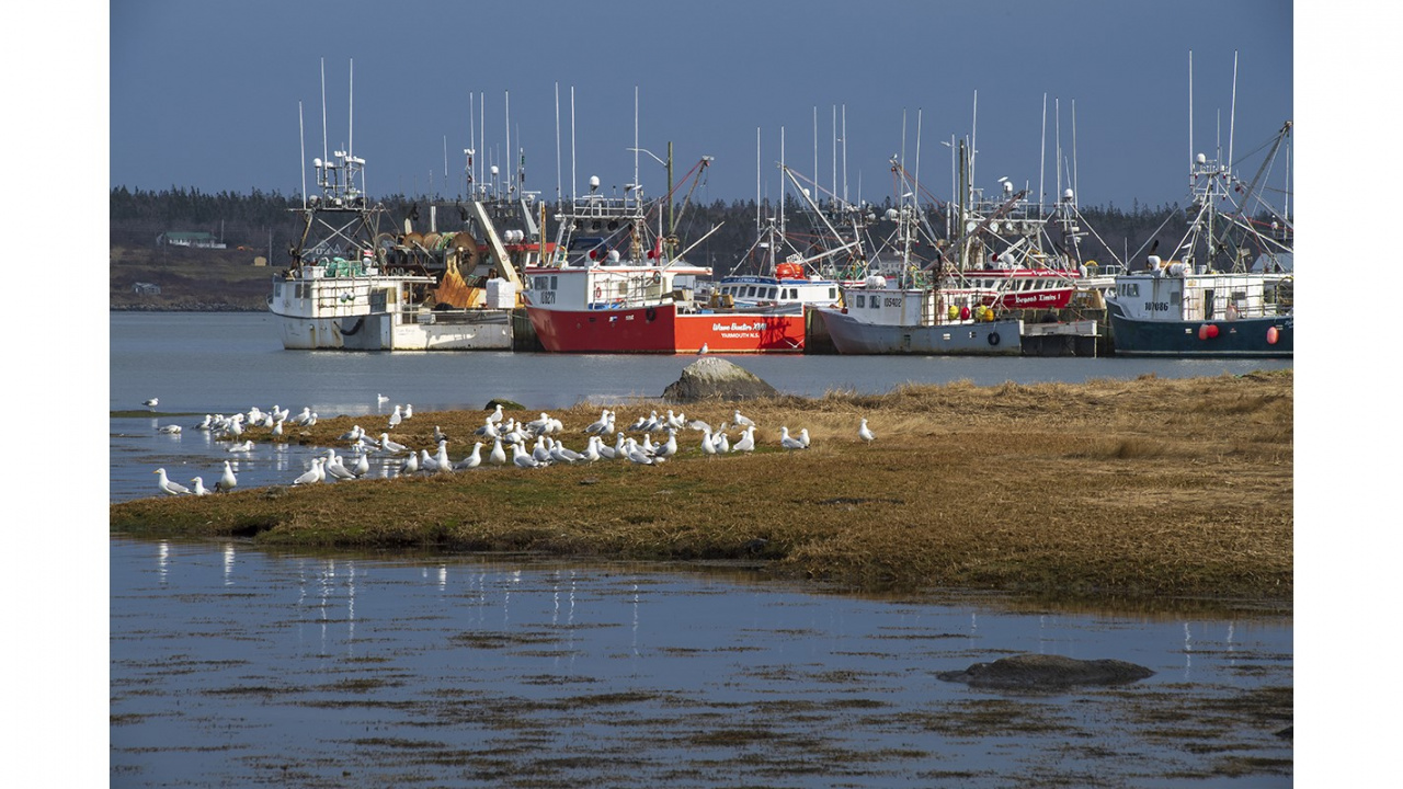 Photo of fishing boats