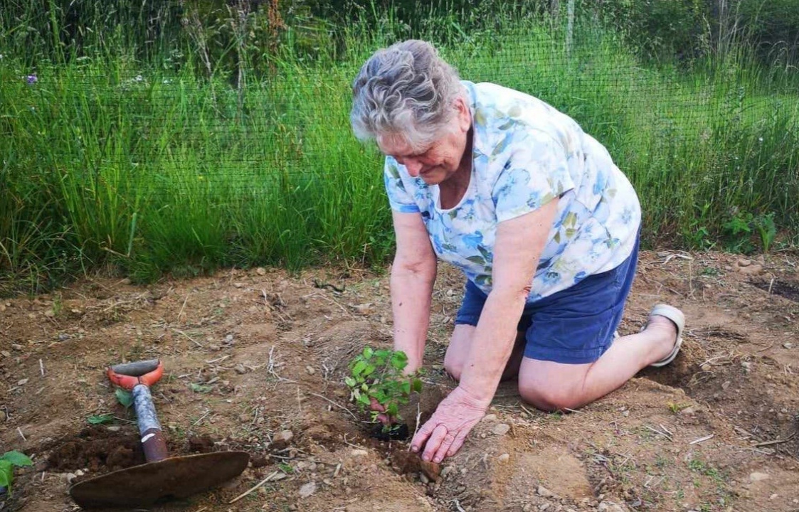 Photo of a senior planting in a garden