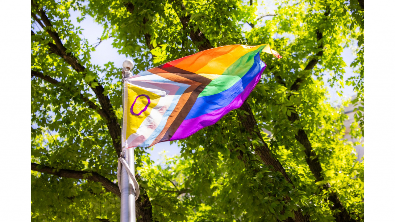 Photo of the Progress Pride flag