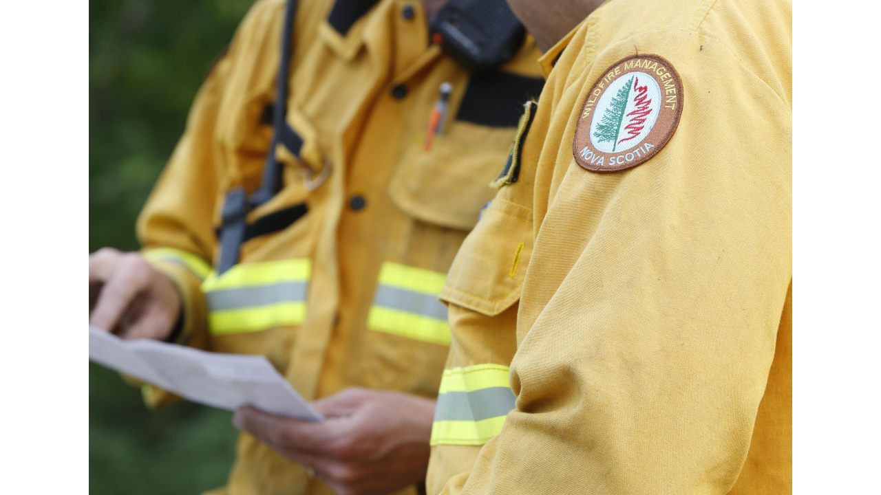 Photo of Natural Resources and Renewables Department firefighters