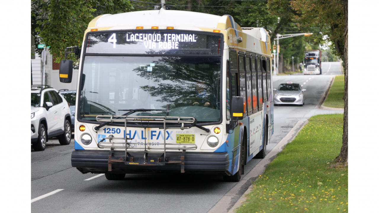 Photo of a Halifax Transit bus