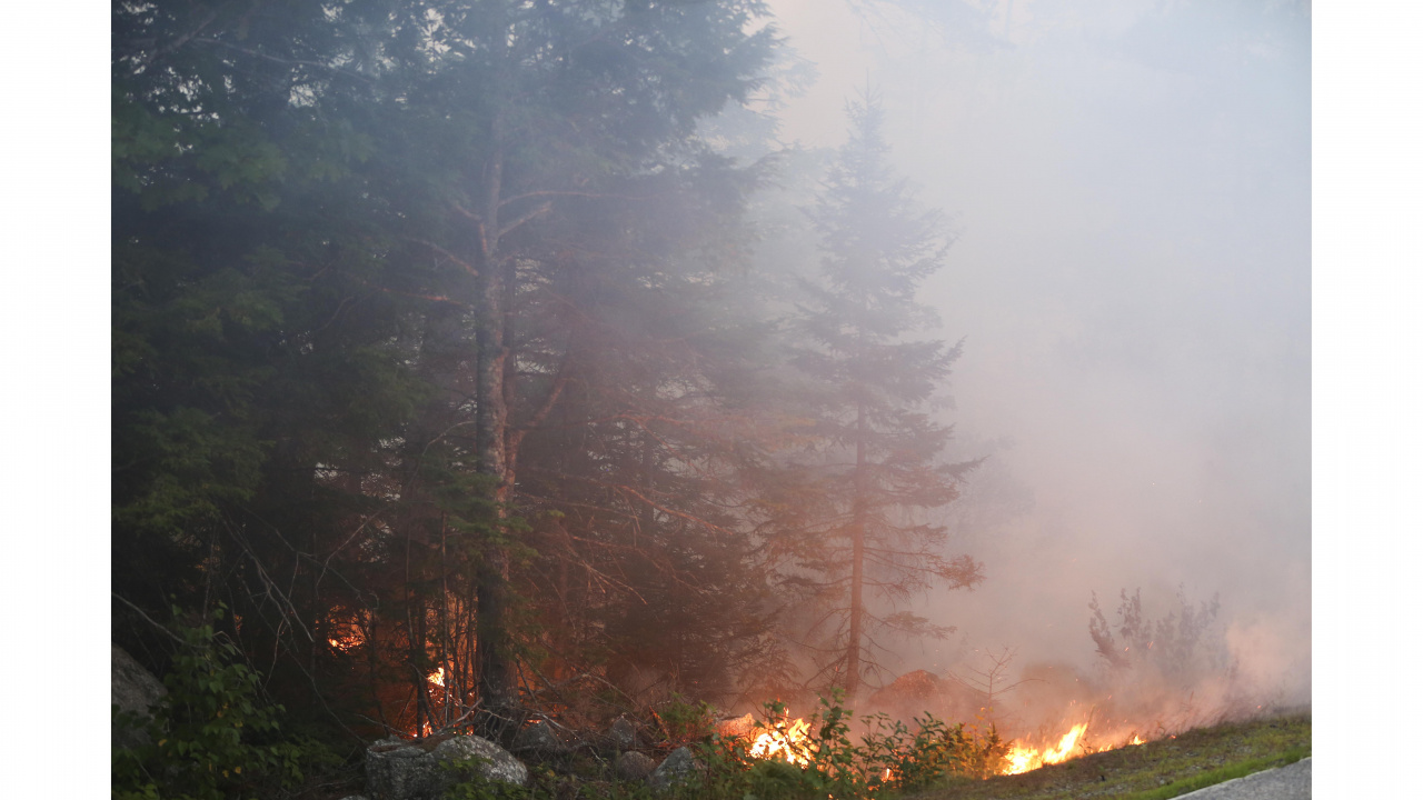 Photo of a wildfire