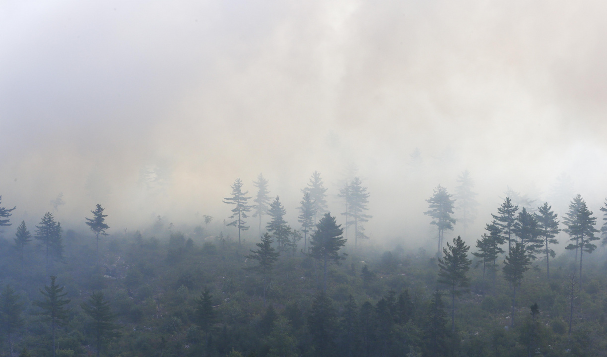 file shot of wildfire