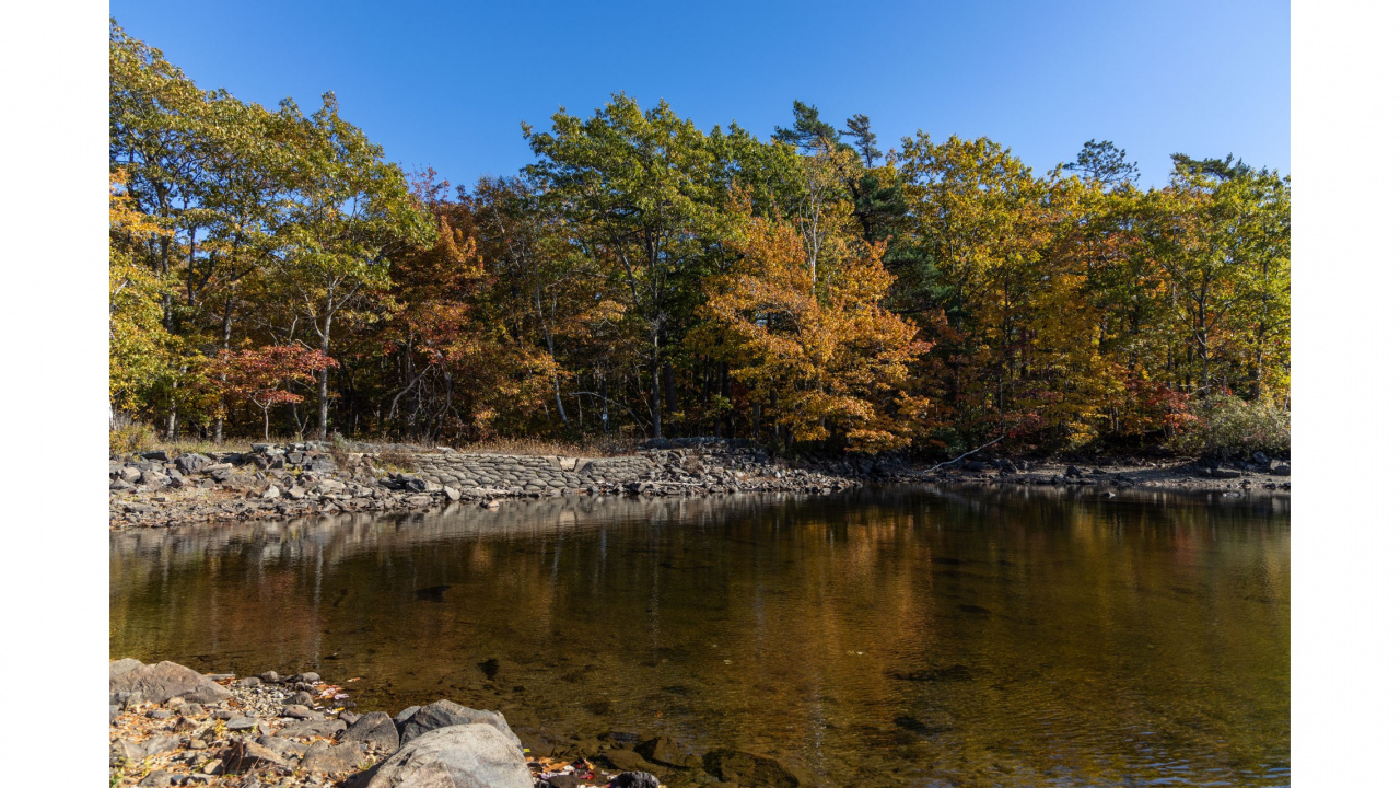 Williams Lake Dam