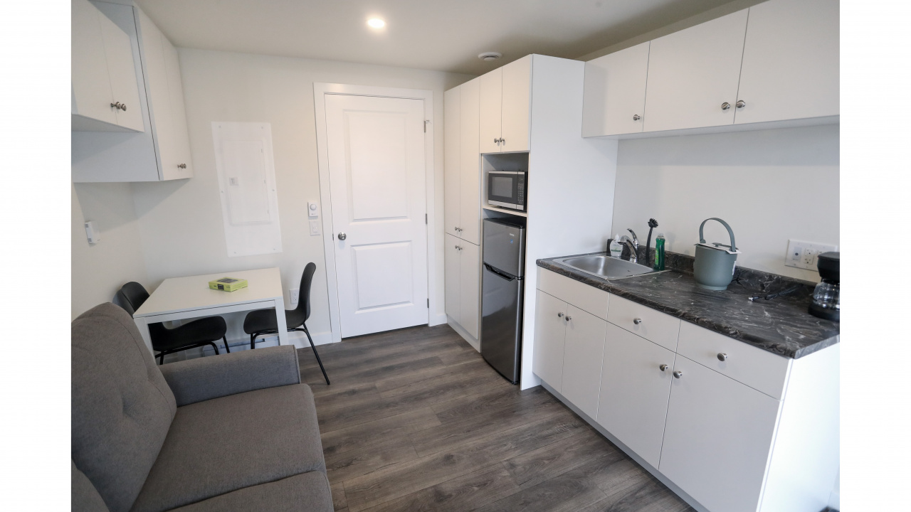 kitchen and living room tiny home