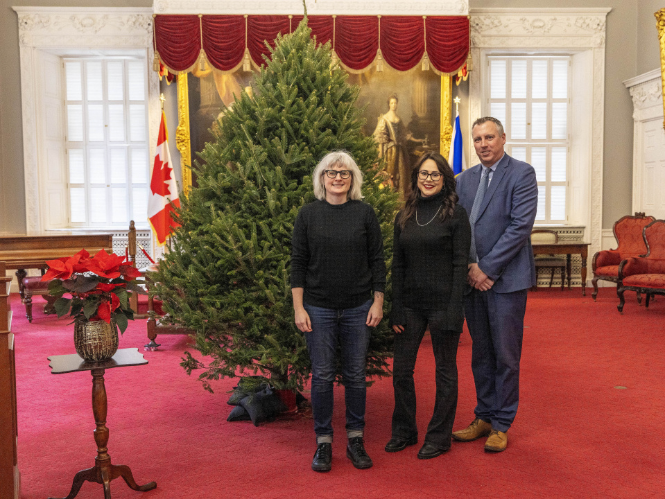 Photo of Agriculture Minister Greg Morrow with two Feed Nova Scotia representatives in front of an undecorated Christmas tree in the Red Chamber at Province House