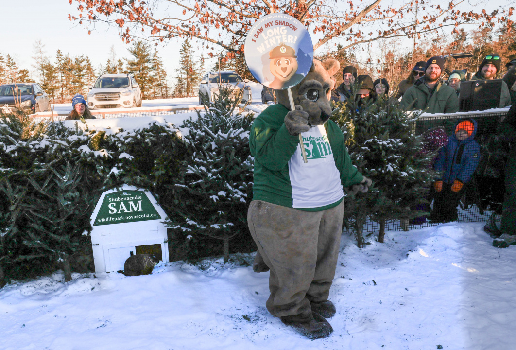Shubenacadie Sam with the Sam Mascot during the prediction during Groundhog Day weather prediction