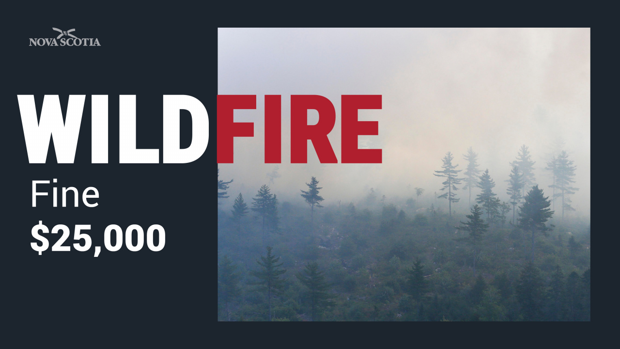 Graphic with photo of wildfire and text Wildfire Fine $25,000