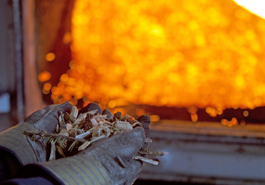 Someone holding biomass in gloved hands