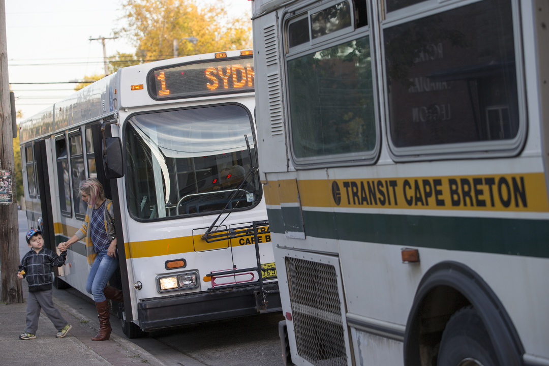 Transit Cape Breton buses