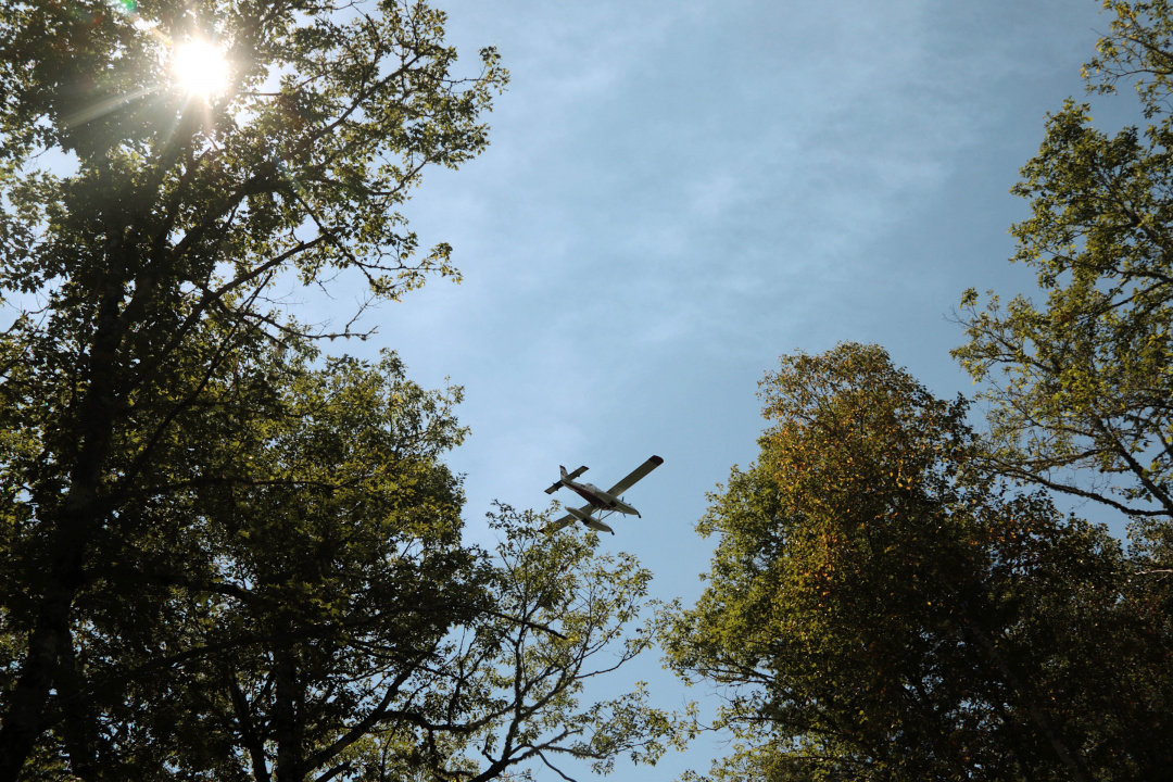 One of four skimmer planes from the Northwest Territories flies over the treetops as it prepares to drop water on the Long Lake wildfires complex.