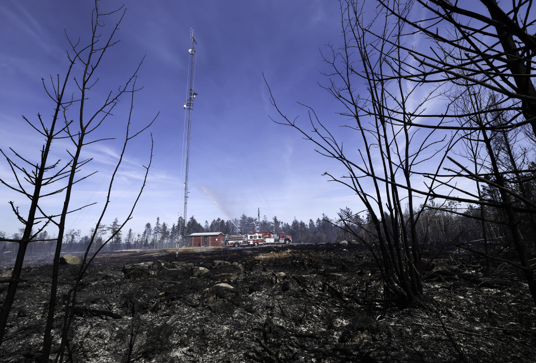 burnt forest around communication tower