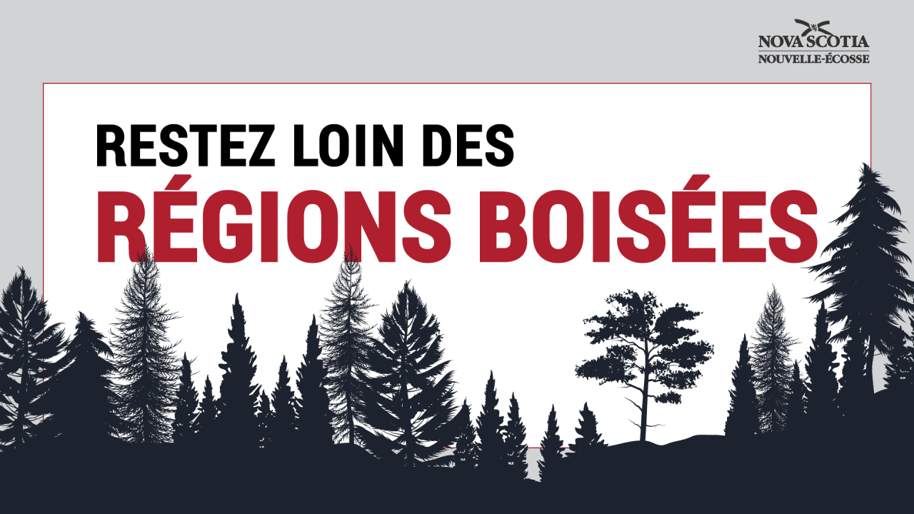 Silhouettes d’arbres noirs et les mots Restez loin des régions boisées