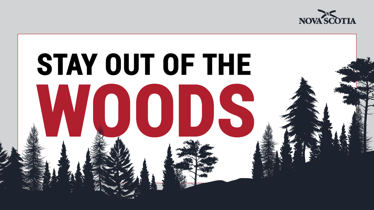 Graphic of black trees and the words Stay out of the Woods