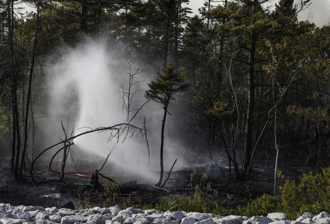 Firefighters working on the ground at the wildfire.
