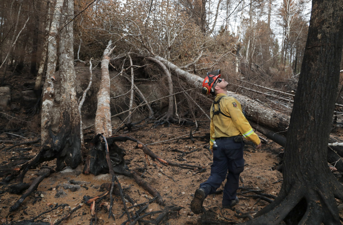 A firefighter works among downed trees