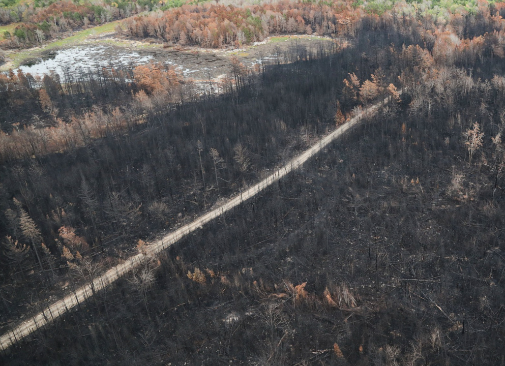 Charred power poles and trees along Thorne Road are at risk of toppling, making conditions hazardous in the area.