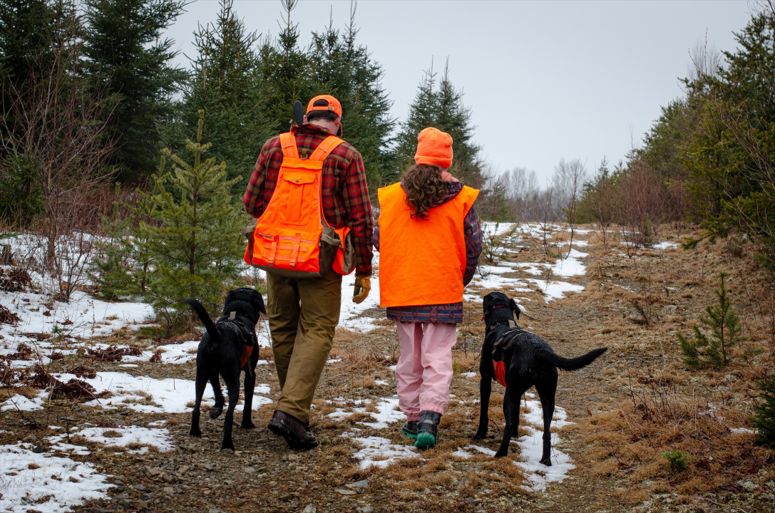 Two people wearing hunter orange in the woods with two dogs.