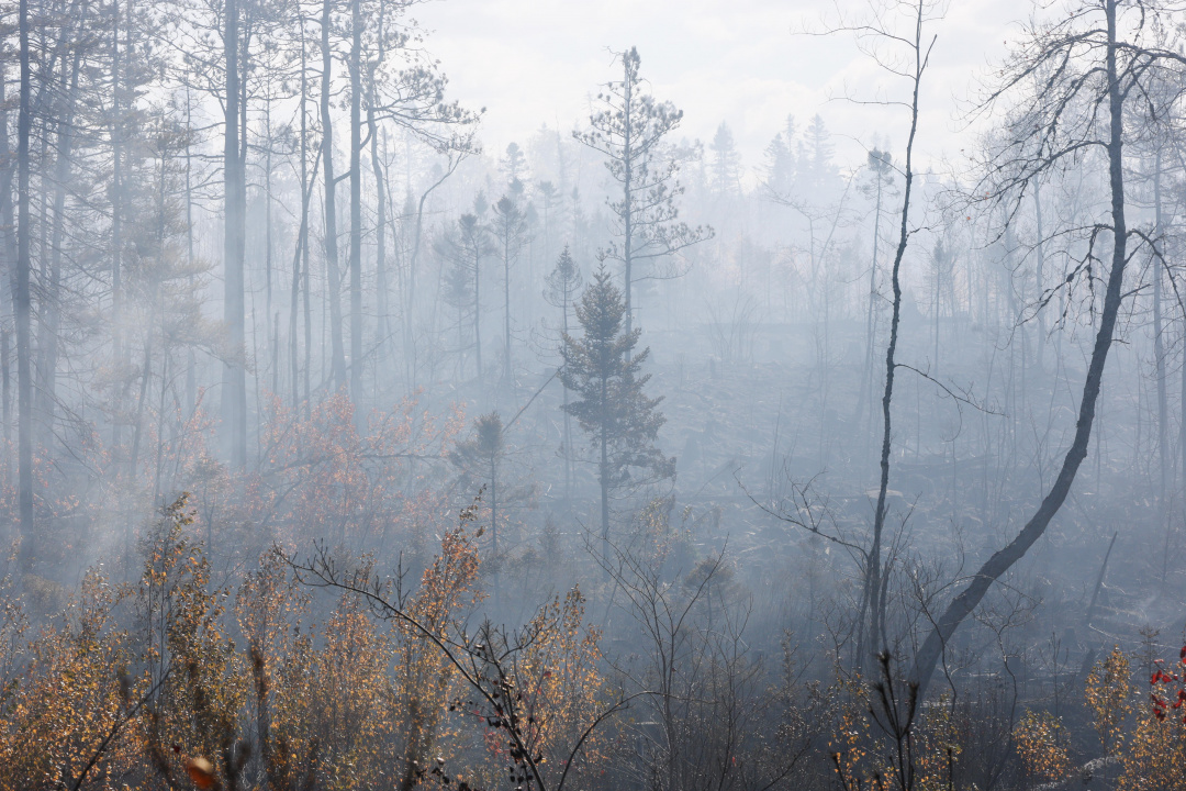 A smoky burned area of the Lake George wildfire