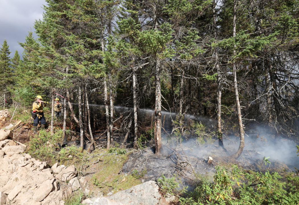 Wildfire response at Lake George, Kings County.