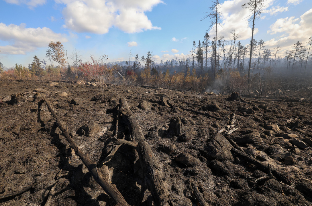 The charred landscape off the Aylesford Road